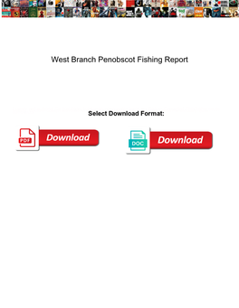 West Branch Penobscot Fishing Report