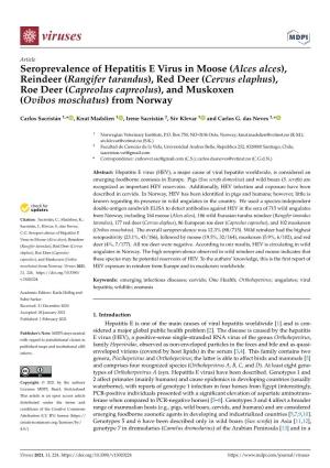 Seroprevalence of Hepatitis E Virus in Moose (Alces Alces), Reindeer