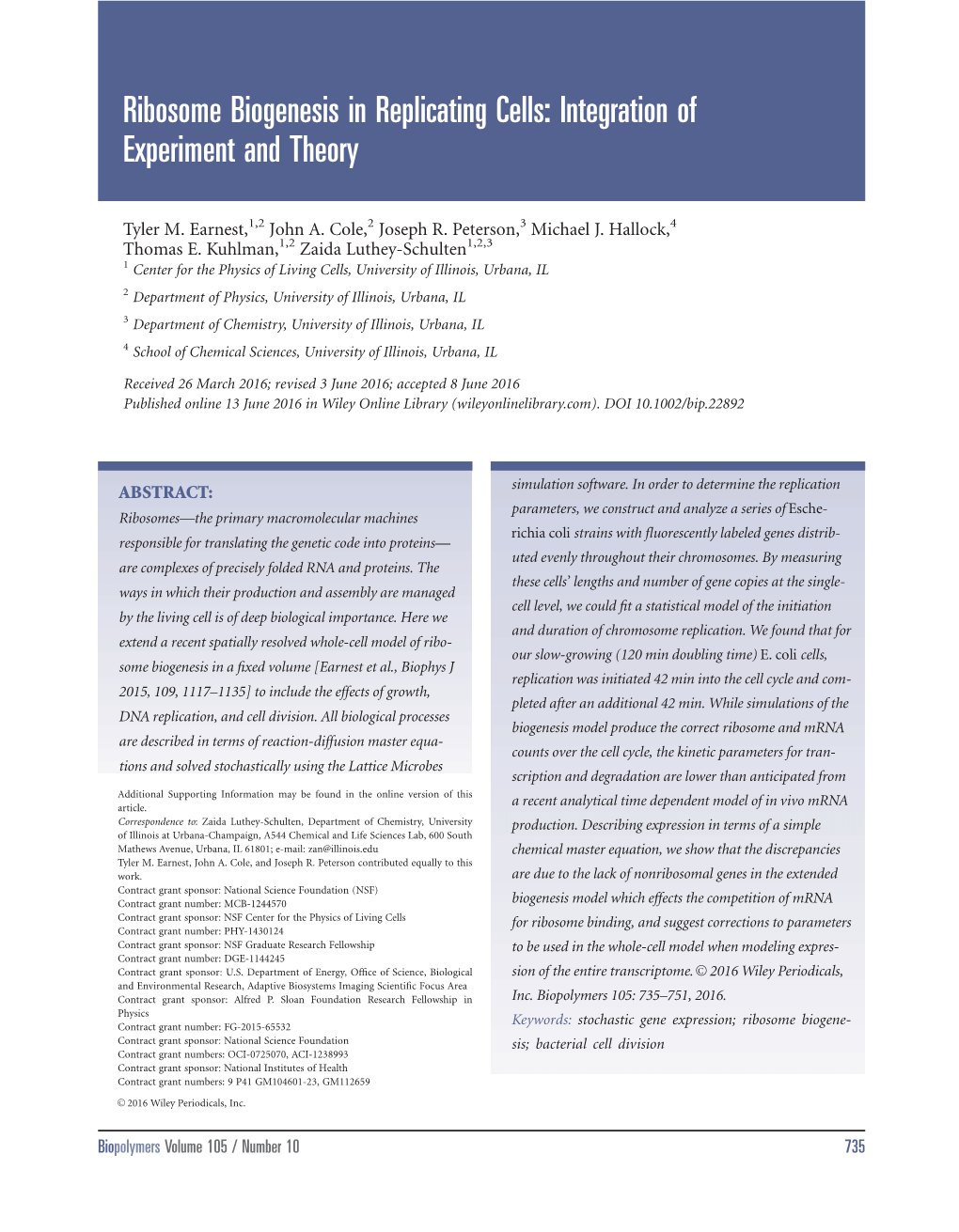 Ribosome Biogenesis in Replicating Cells: Integration of Experiment and Theory