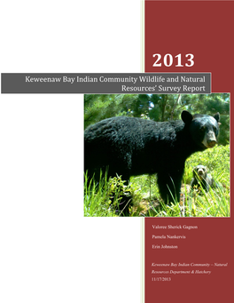 KBIC Wildlife and Natural Resource Survey Report