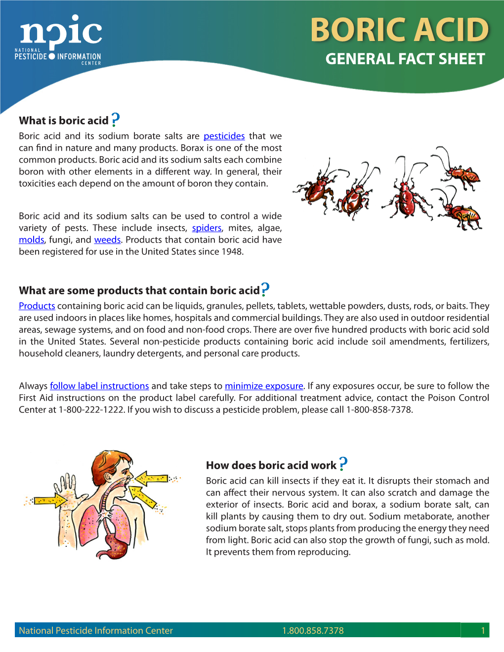 Boric Acid General Fact Sheet