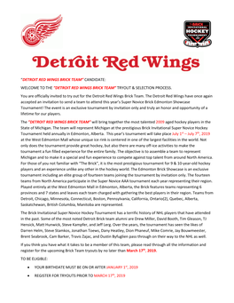 Detroit Red Wings Brick Team” Candidate: Welcome to the ”Detroit Red Wings Brick Team” Tryout & Selection Process