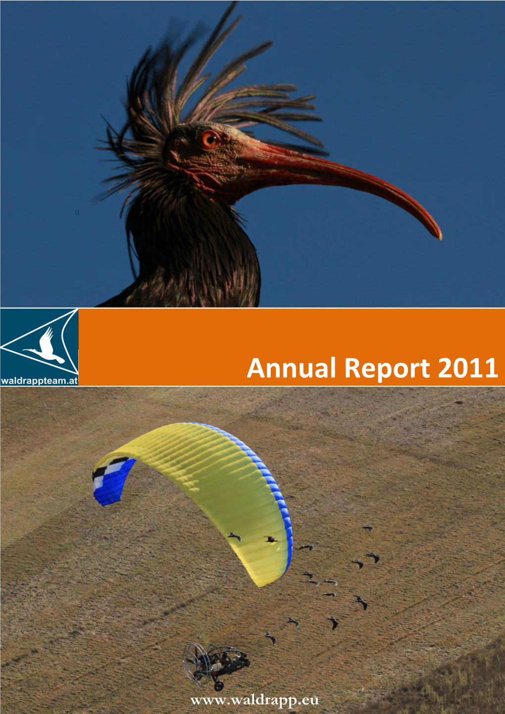 Annual Report 2011