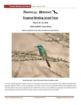 Tropical Birding Israel Tour