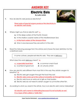 Electric Eels by Lydia Lukidis