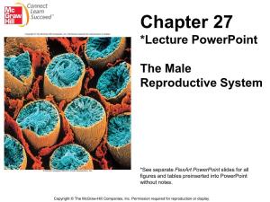 Chapter 27 *Lecture Powerpoint
