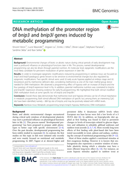 DNA Methylation of the Promoter Region of Bnip3 and Bnip3l Genes Induced by Metabolic Programming Vincent Veron1†, Lucie Marandel1†, Jingwei Liu1, Emilio J