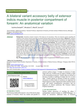 A Bilateral Variant Accessory Belly of Extensor Indicis Muscle in Posterior Compartment of Forearm: an Anatomical Variation