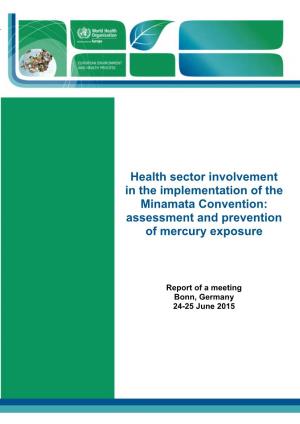 Health Sector Involvement in the Implementation of the Minamata