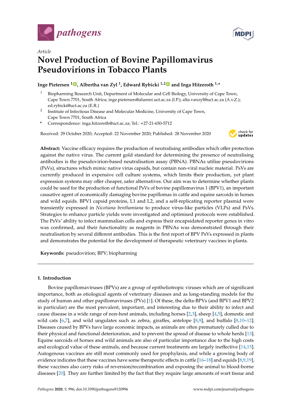 Novel Production of Bovine Papillomavirus Pseudovirions in Tobacco Plants