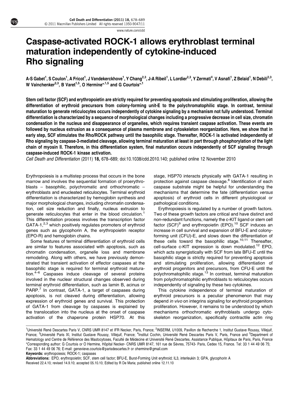 Caspase-Activated ROCK-1 Allows Erythroblast Terminal Maturation Independently of Cytokine-Induced Rho Signaling