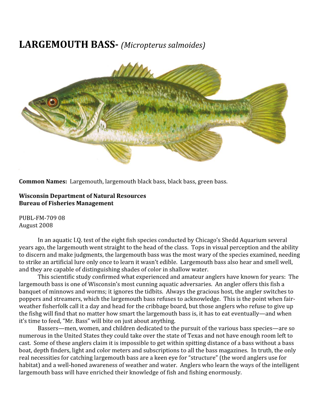 LARGEMOUTH BASS­ (Micropterus Salmoides)