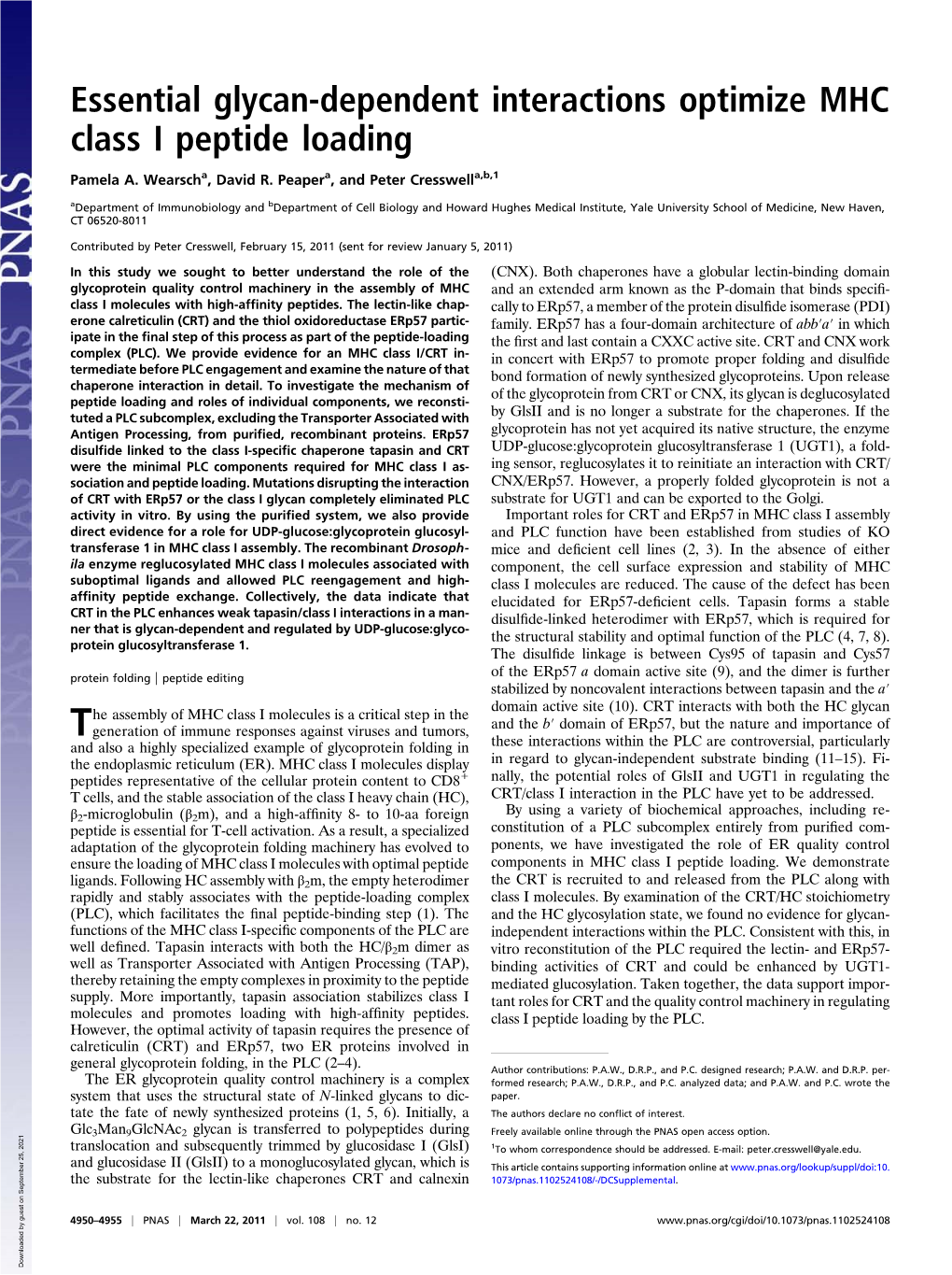 Essential Glycan-Dependent Interactions Optimize MHC Class I Peptide Loading