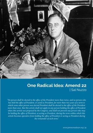 One Radical Idea: Amend 22 | Sal Nuzzo