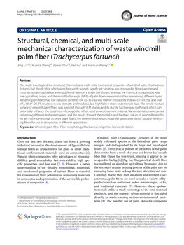 Structural, Chemical, and Multi-Scale Mechanical Characterization of Waste Windmill Palm Fiber (Trachycarpus Fortunei)
