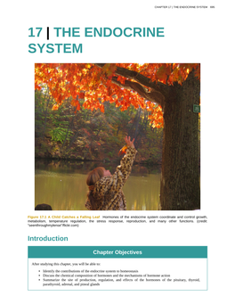 The Endocrine System 695