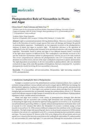 Photoprotective Role of Neoxanthin in Plants and Algae
