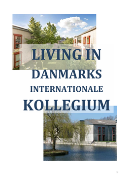 Danmarks Internationale Kollegium