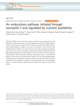 An Endocytosis Pathway Initiated Through Neuropilin-1 and Regulated by Nutrient Availability