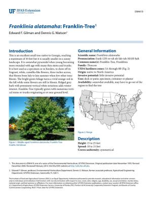 Franklinia Alatamaha: Franklin-Tree1 Edward F