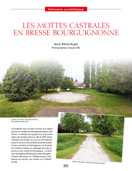 Les Mottes Castrales En Bresse Bourguignonne