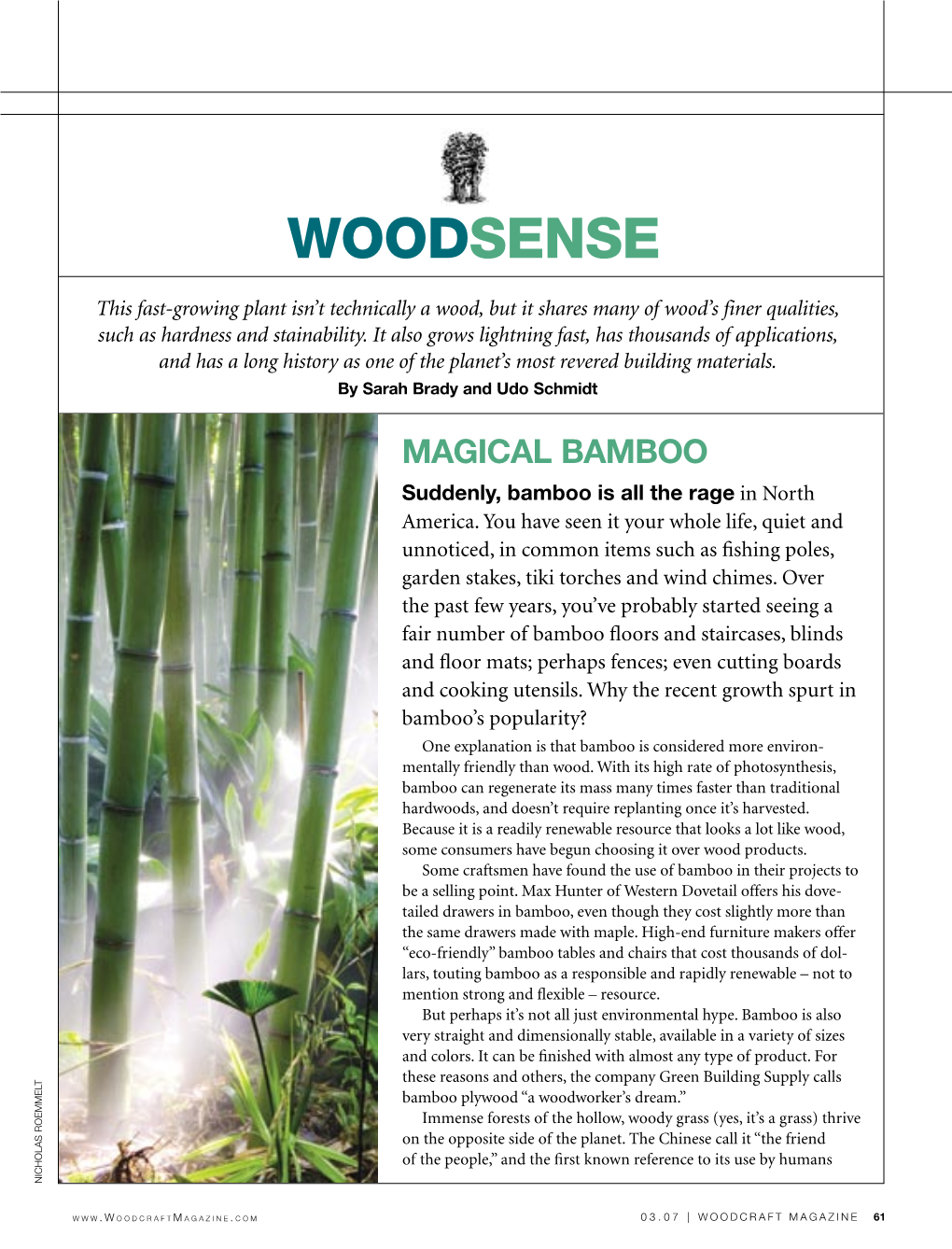 Woodsense-Bamboo 3.15.Indd