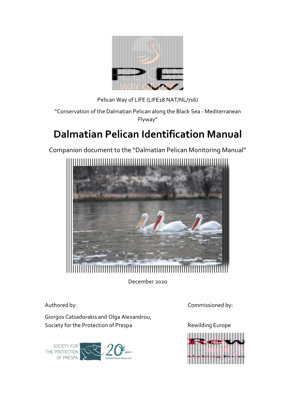 Dalmatian Pelican Identification Manual Companion Document to the “Dalmatian Pelican Monitoring Manual”