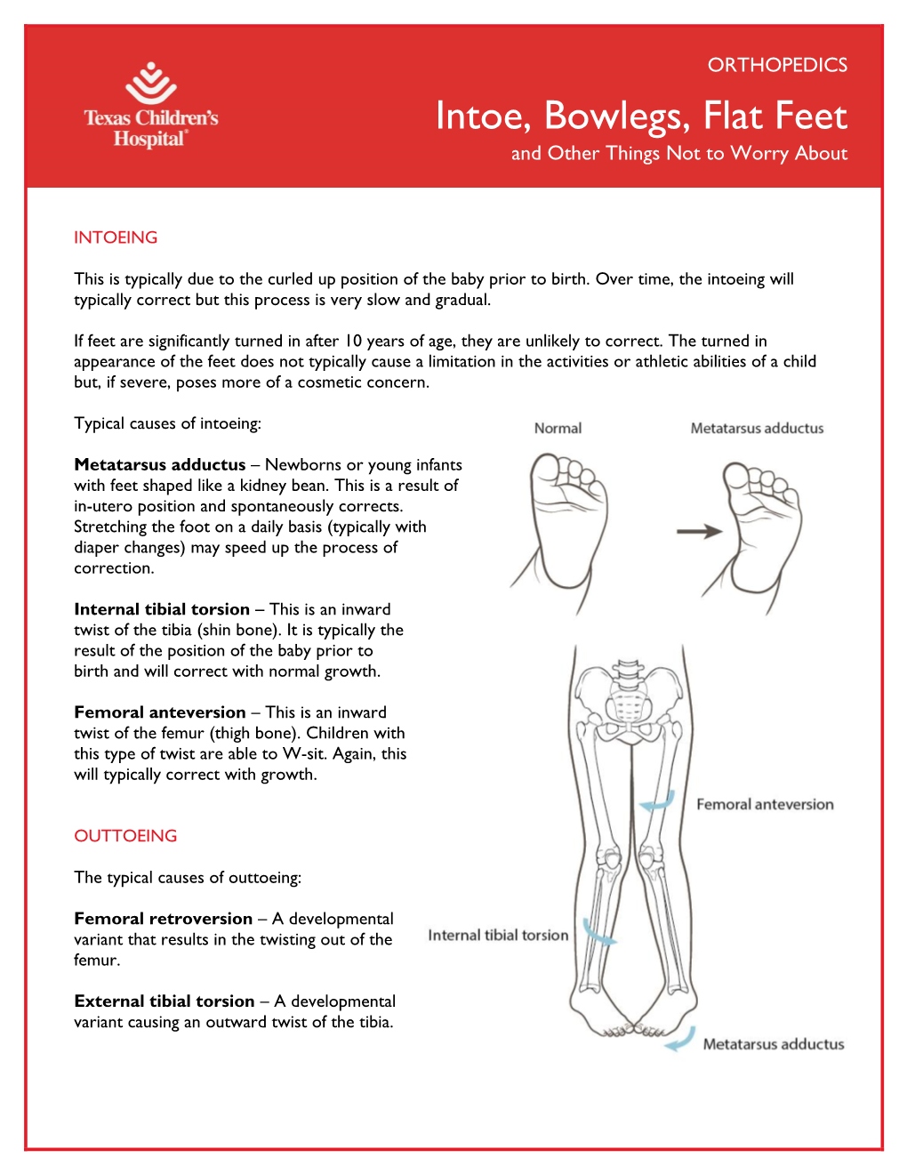 Intoe, Bowlegs, Flat Feet and Other Things Not to Worry About