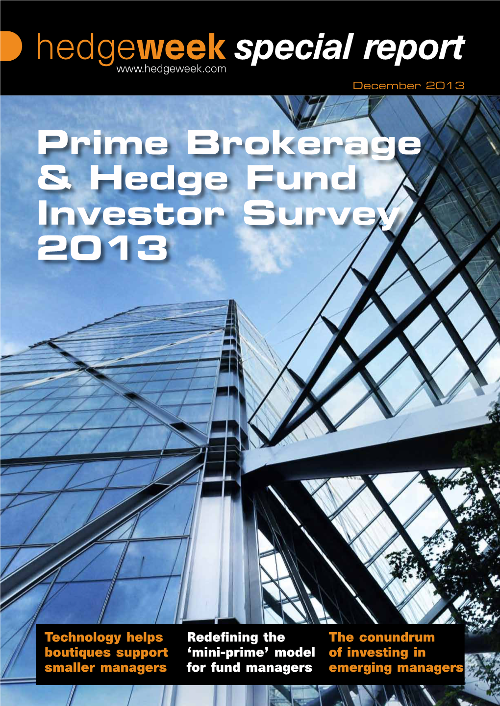 Prime Brokerage & Hedge Fund Investor Survey 2013