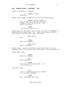 The Duff Diary the Simpsons Spec
