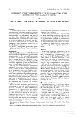 202 IAWA Bulletin N.S., Vol. 8 (3),1987 MORPHOLOGY of the VESSEL
