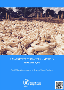 A Market Performance Analysis in Mozambique