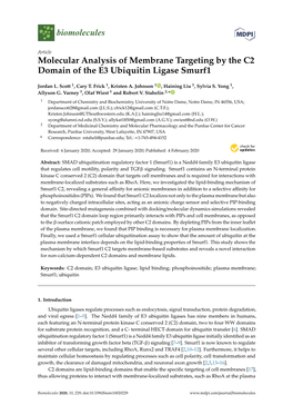Molecular Analysis of Membrane Targeting by the C2 Domain of the E3 Ubiquitin Ligase Smurf1