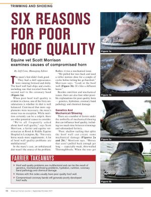 SIX REASONS for POOR HOOF QUALITY Figure 1A Equine Vet Scott Morrison Examines Causes of Compromised Horn