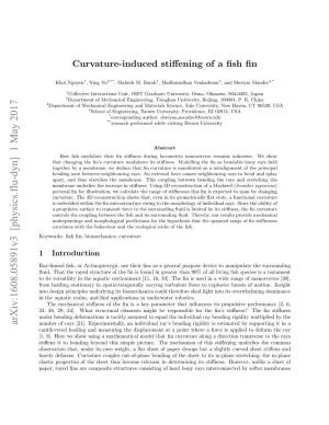 Curvature-Induced Stiffening of a Fish