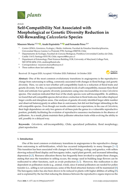 Self-Compatibility Not Associated with Morphological Or Genetic Diversity Reduction in Oil-Rewarding Calceolaria Species