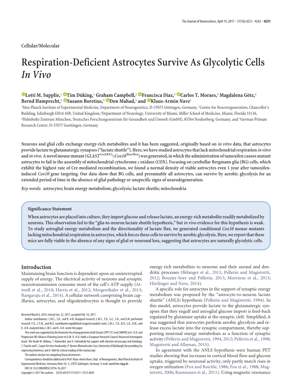 Respiration-Deficient Astrocytes Survive As Glycolytic Cells in Vivo