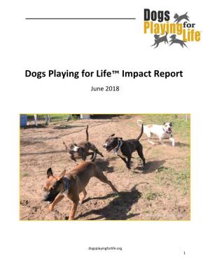 Dogs Playing for Life™ Impact Report