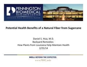 Health Benefits of a Natural Fiber from Sugarcane