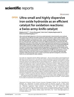 Ultra-Small and Highly Dispersive Iron Oxide Hydroxide As An