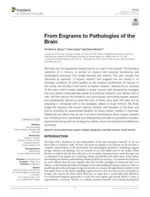From Engrams to Pathologies of the Brain