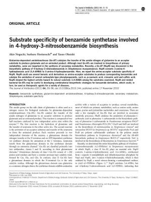 Substrate Specificity of Benzamide Synthetase Involved in 4-Hydroxy-3