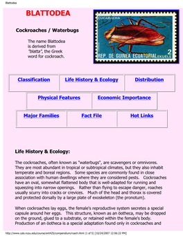 Blattodea (PDF)