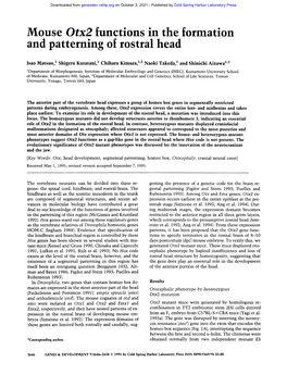 Mouse Otx2 Functions in the Formation and Patterning of Rostral Head