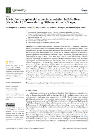 Vicia Faba L.) Tissues During Different Growth Stages