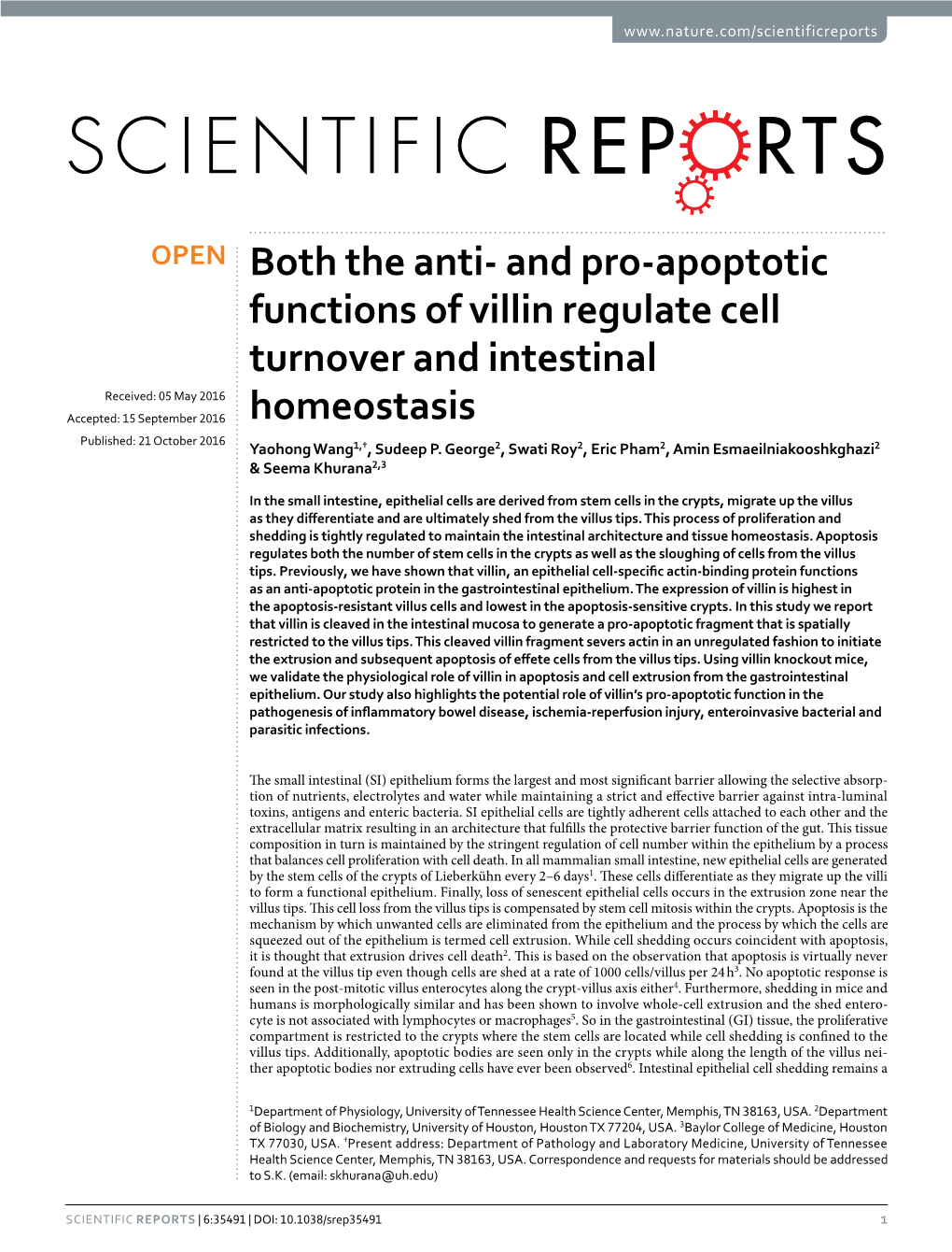 And Pro-Apoptotic Functions of Villin Regulate Cell Turnover and Intestinal