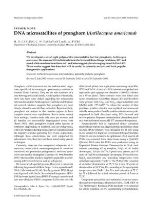 DNA Microsatellites of Pronghorn (Antilocapra Americana)