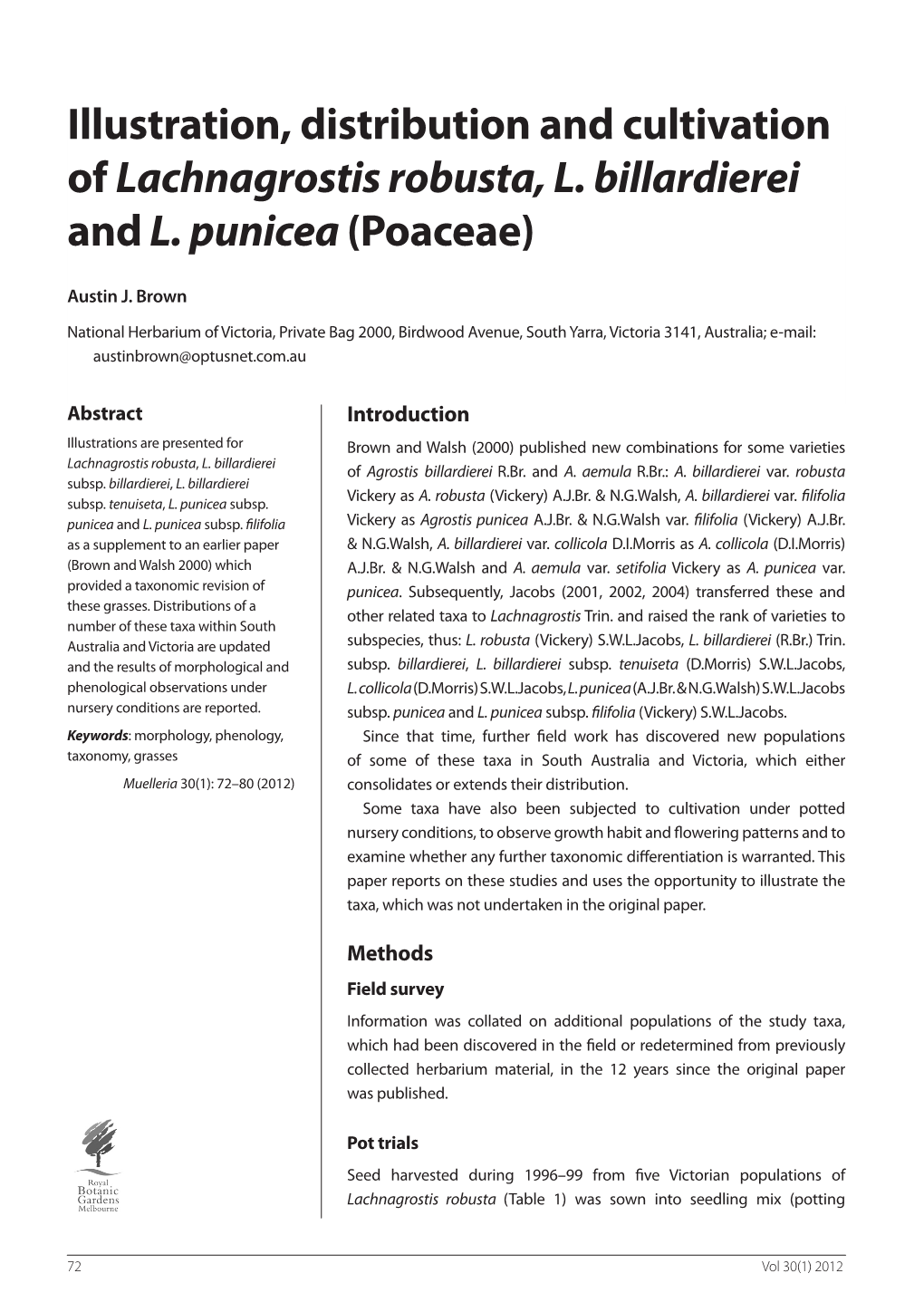 Illustration, Distribution and Cultivation of Lachnagrostis Robusta, L