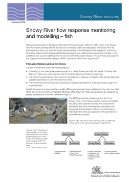 Snowy River Flow Response Monitoring and Modelling – Fish