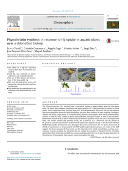 Phytochelatin Synthesis in Response to Hg Uptake in Aquatic Plants Near A